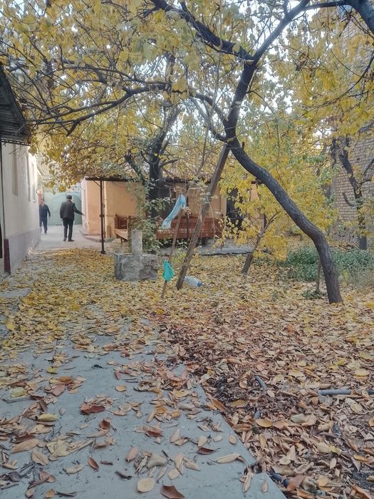 5.4 сотх Сергели, Олчазор кучаси, Ровд оркаси