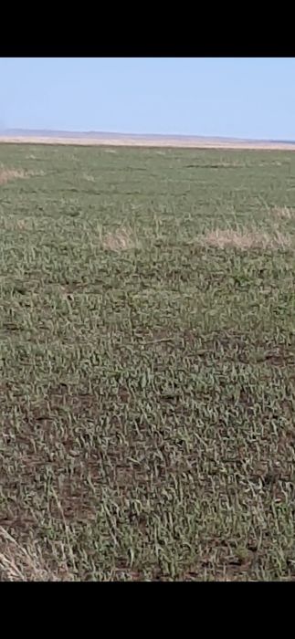 Продам участок 200га