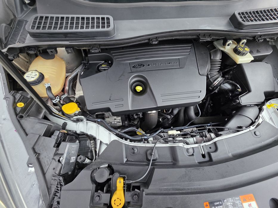 Vand Ford Kuga ST-Line 2019