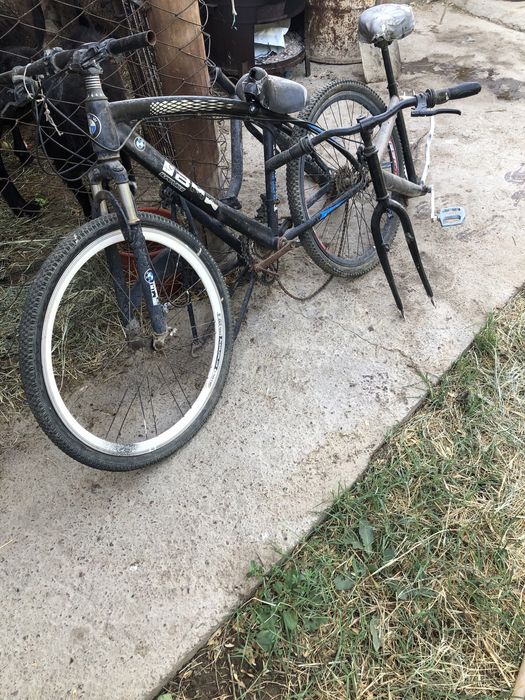 Келес абайда тур озінде