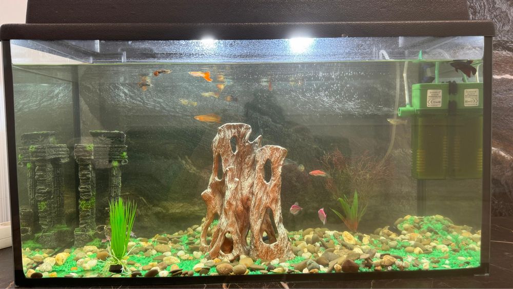 Продается большой аквариум для рыбок