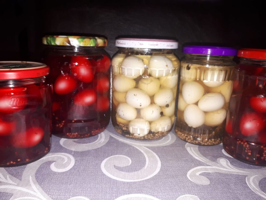 Oua de prepelite pentru consum și incubare.