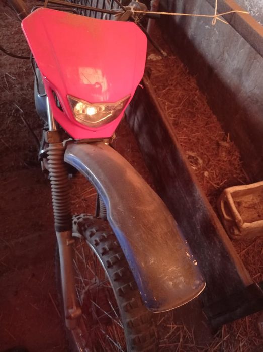 Vivo v25 pro оригинал