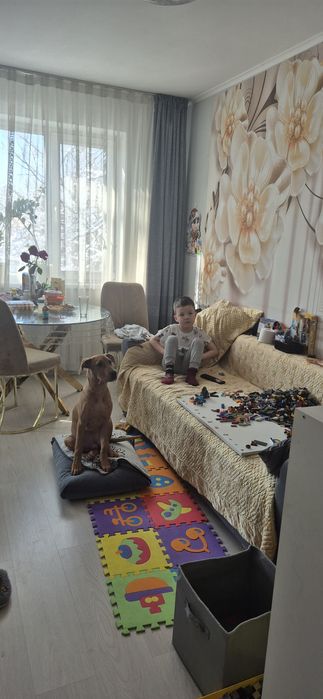 Отдам щенка питбуля только профессионалам