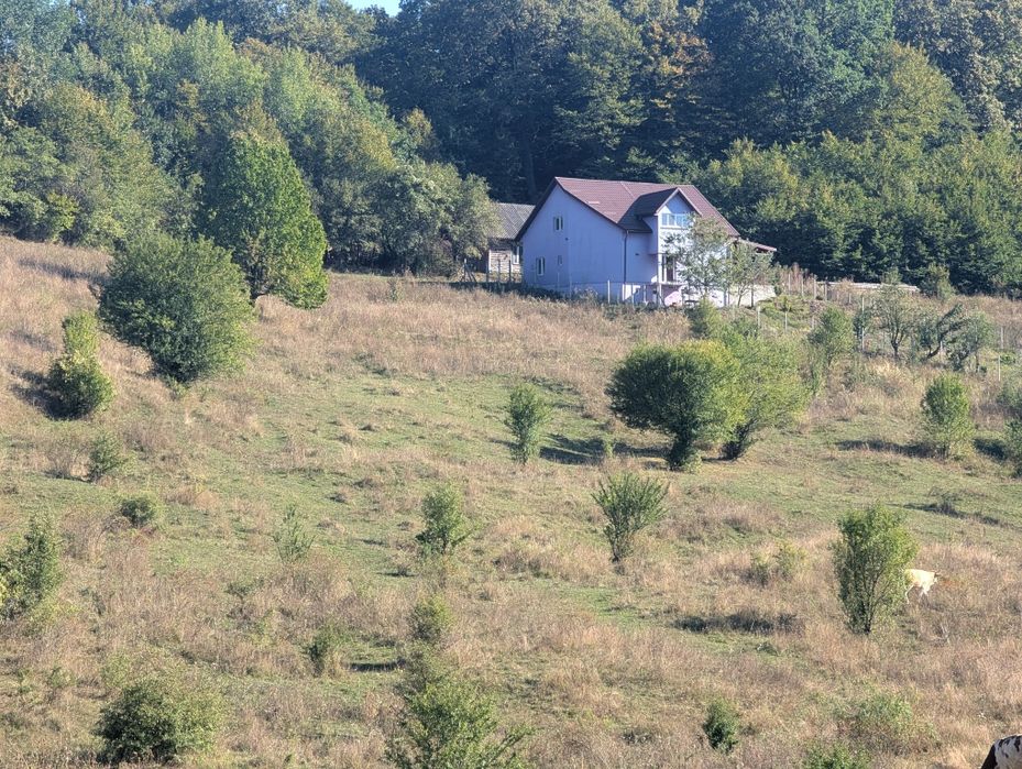 Teren de vânzare Bistrița , str. Dambului