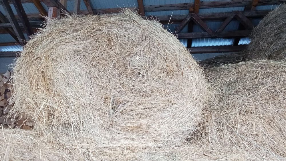 Vând baloți rotunzi de fân