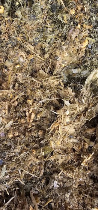 Селос сифати аьло