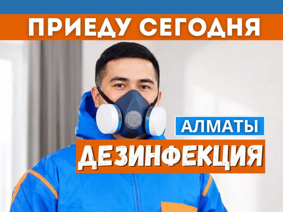 ДЕЗИНФЕКЦИЯ Уничтожение ТАРАКАНОВ и КЛОПОВ в Алматы договор + чек!
