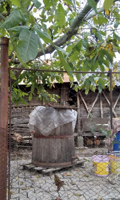 Putina din lemn 450 litri