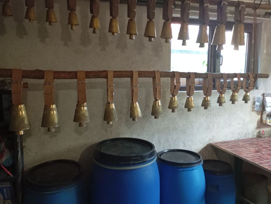 Чанове Звънци с каишки