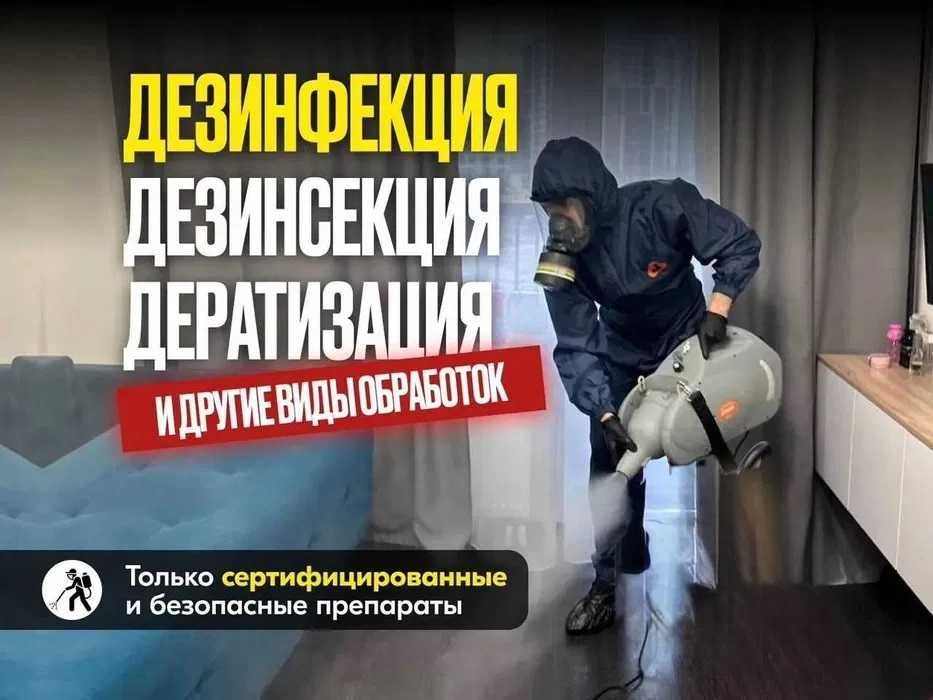 Дезинфекция - уничтожение , мышей, крыс, блох, клопов, тараканов ‼️