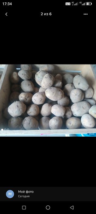 Продам овощи с доставкой до подъезда