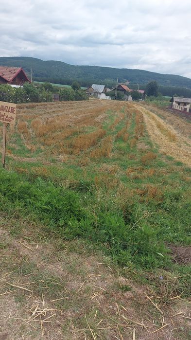 Teren intravilan 1500 metri