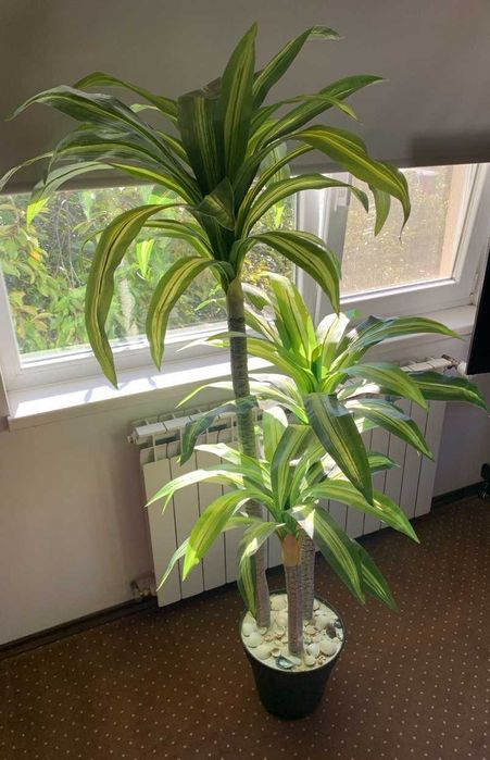 Plantă artificială decorativă Dracaena 1,75m