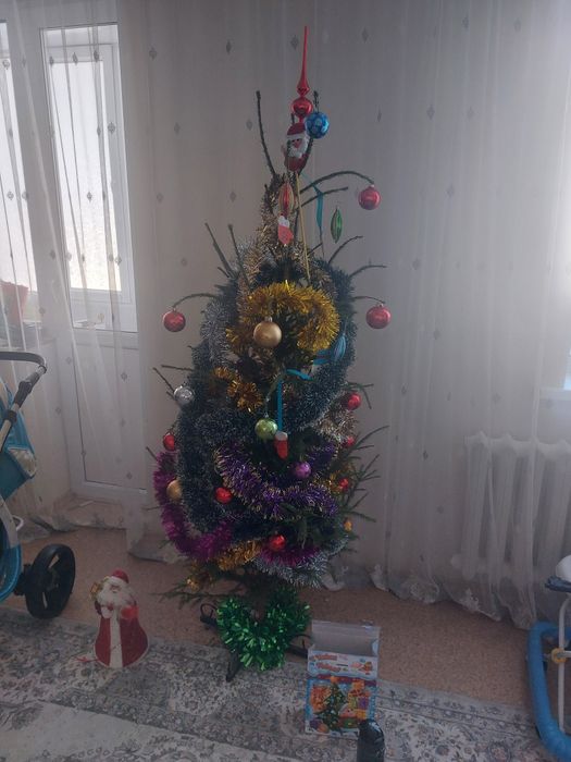Продам живую ёлку