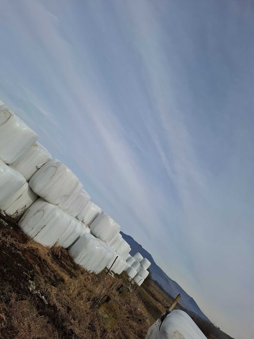 Baloti siloz lucerna, otava