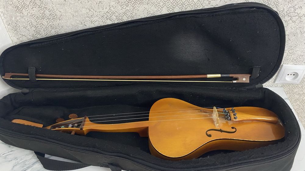 Кобыз павлодарская