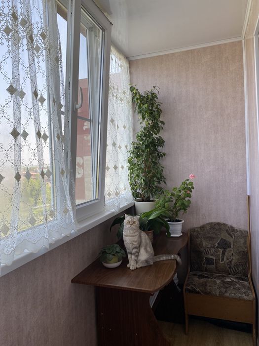 2х комнатная квартира