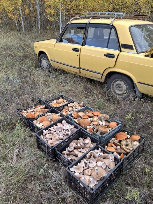 Продам обмен не предлагать