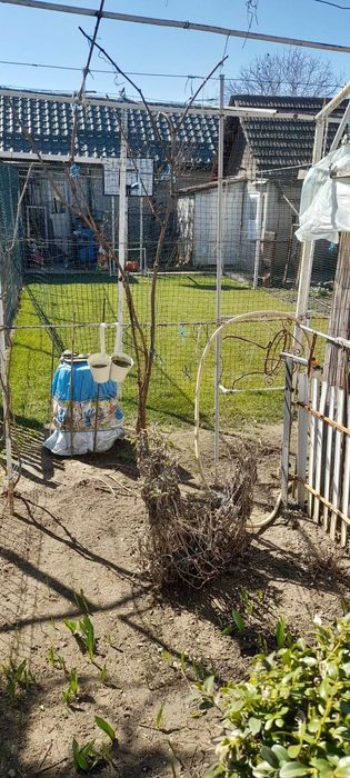 Casa si teren de vanzare TULCEA