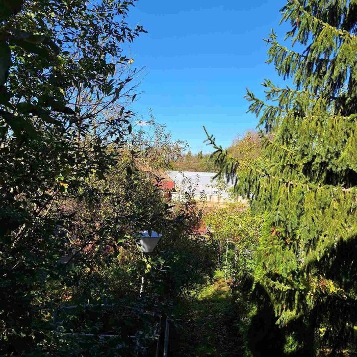 Продава се Парцел в с. Крумово, Област Варна - 1000 кв.м за 20 €/кв.м - Снимка #3