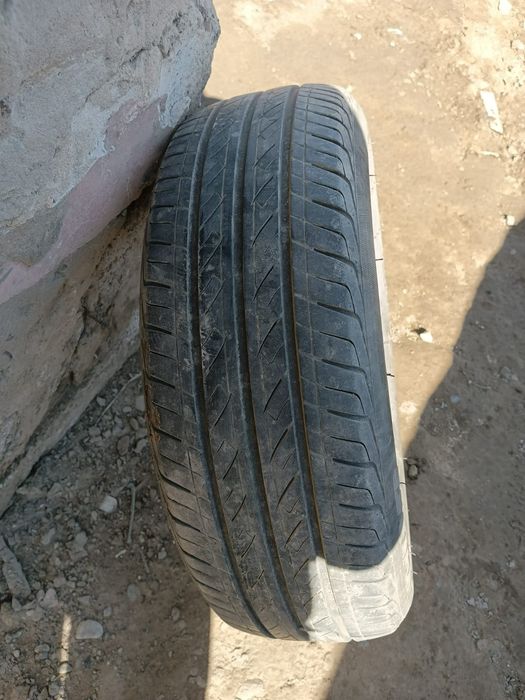 Шина. Шина . Шина