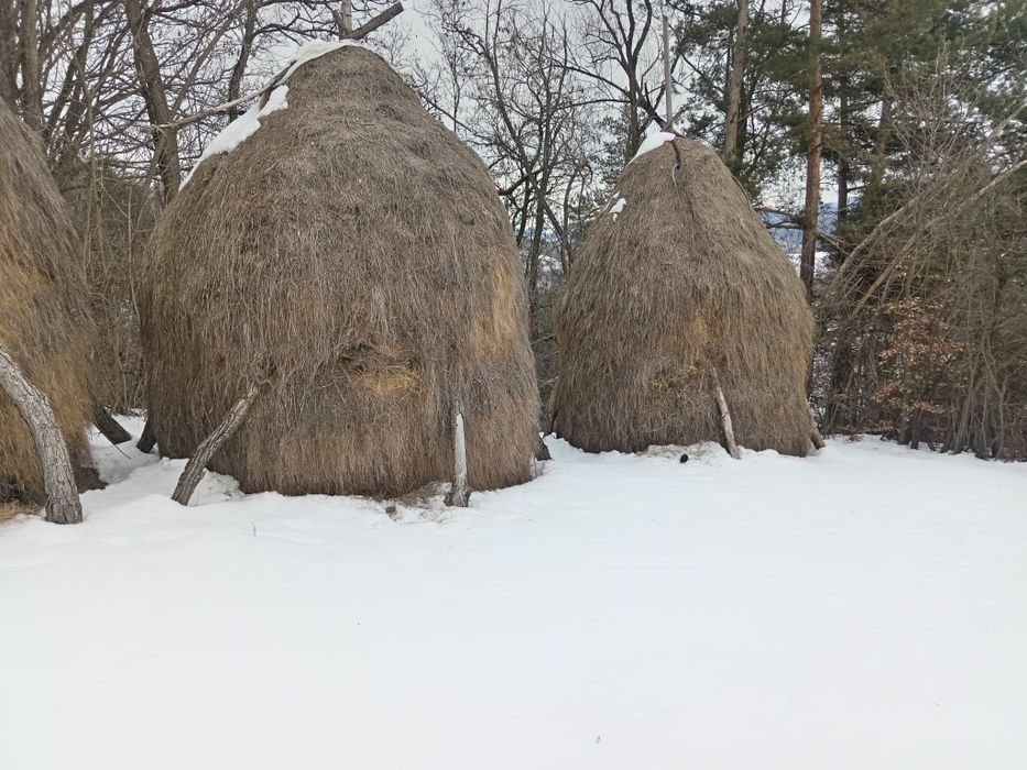 Vînd  Fîn mărunt pentru oi nepoluat și bine uscat!