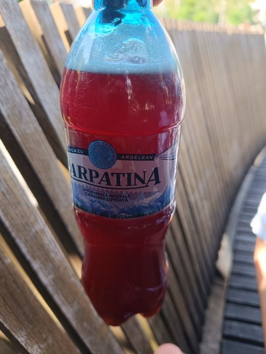 Sirop muguri de brad