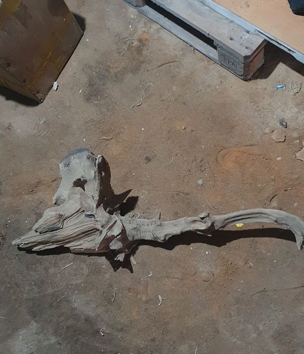 коряга декорация в аквариум