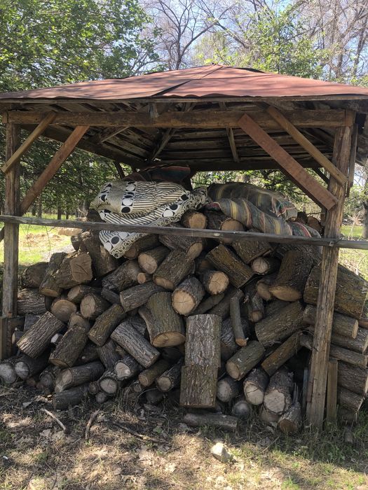 Продаются дрова (карагач сухой)