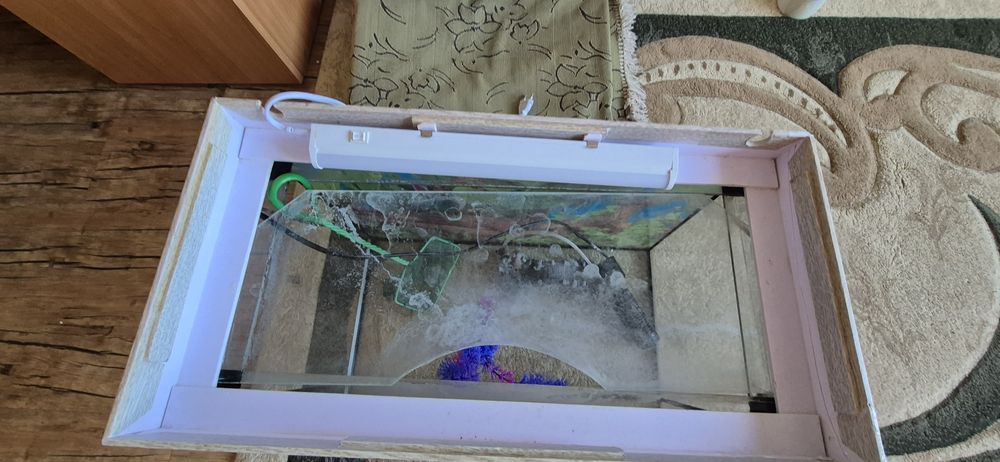 Аквариум на 40 литров