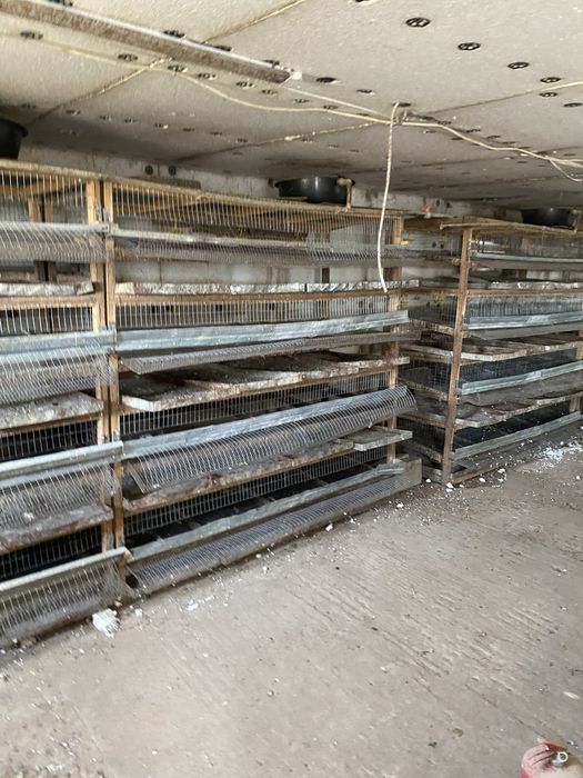 Продам клетки для перепелок