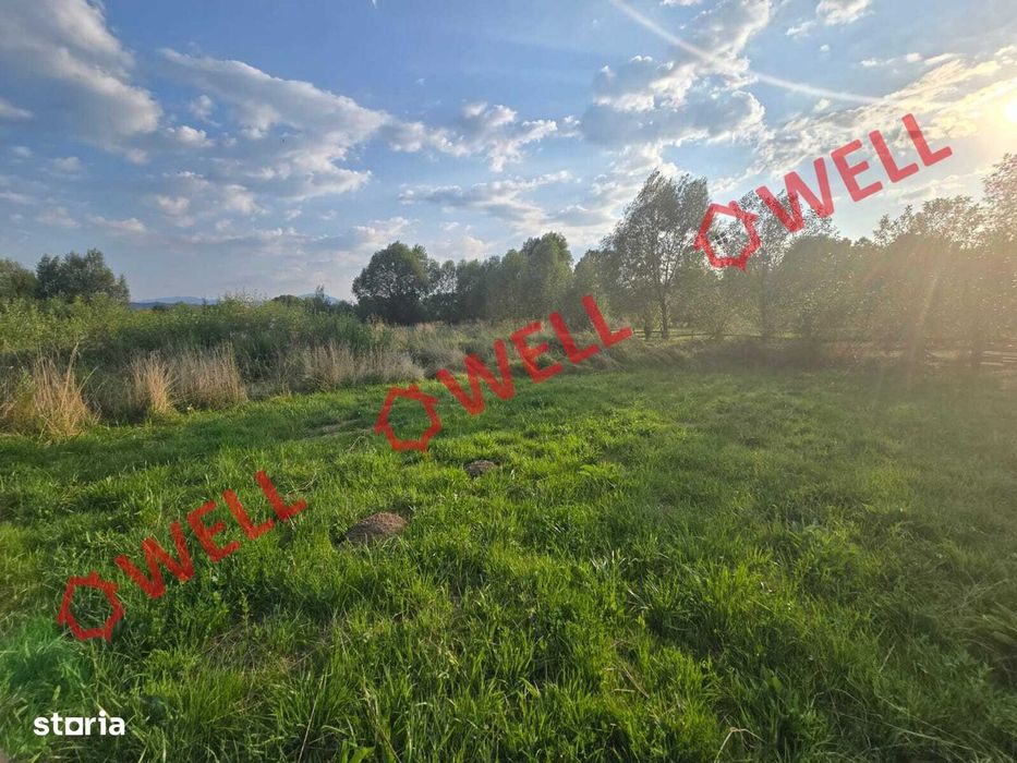 De vânzare teren extravilan în Floroaia Mare, Întorsura Buzăului!