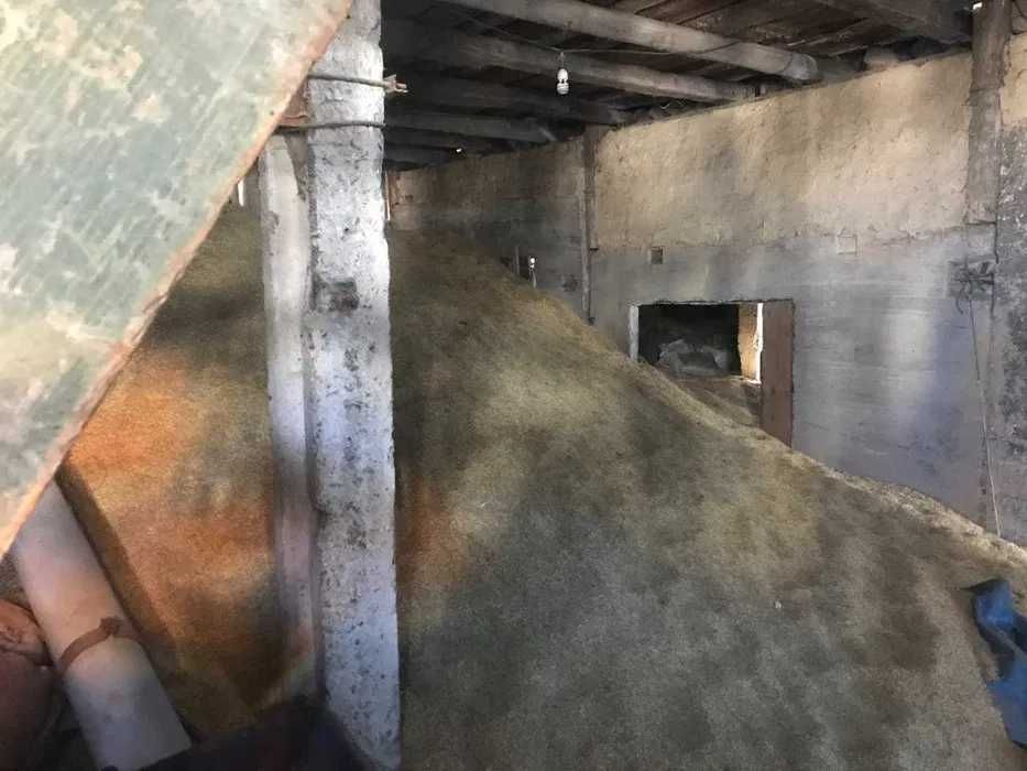 Продам ячмень, арпа