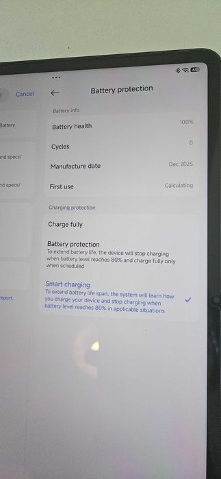 Xiaomi Pad 8 Pine Green 8Gb+256Gb