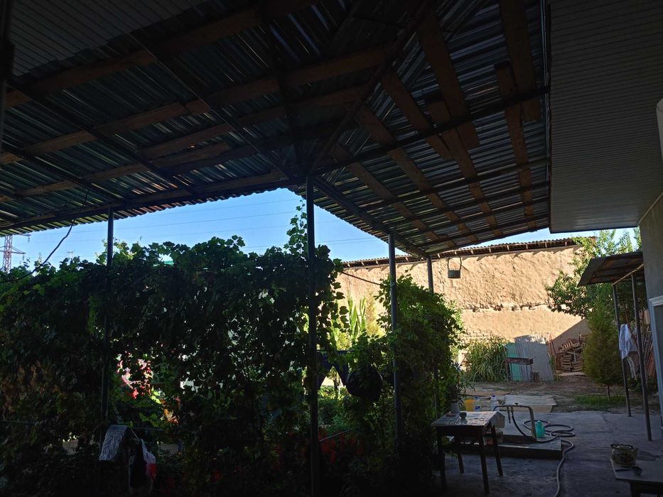 Uchastka 6,5 sotoxli