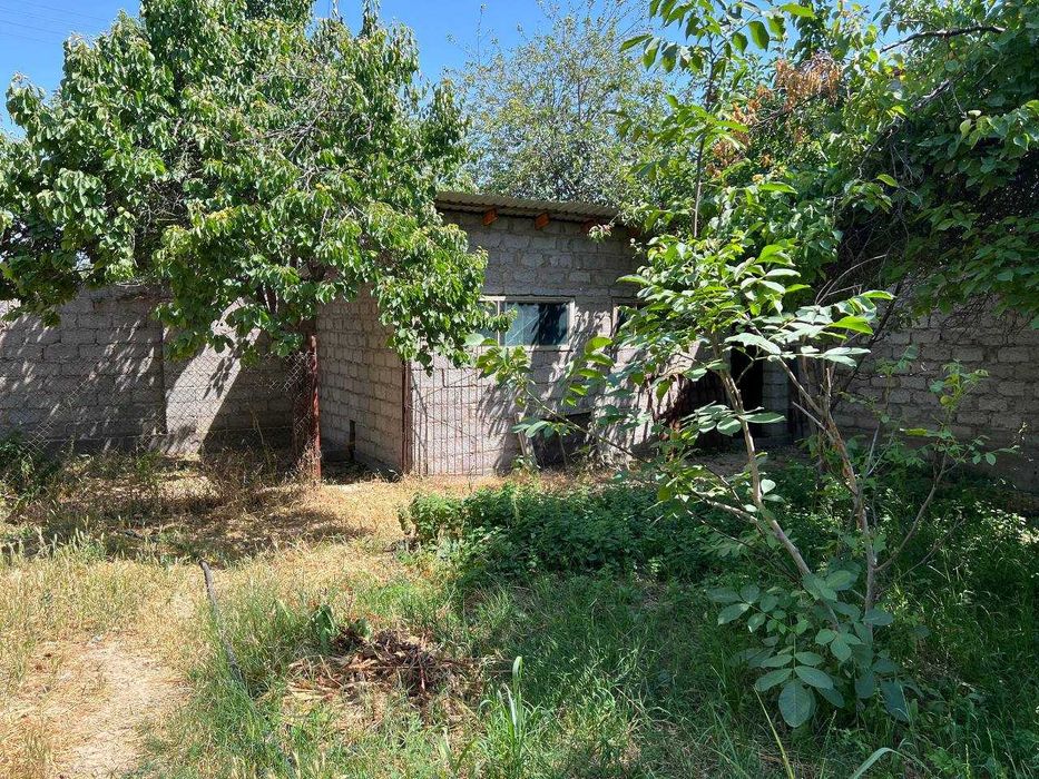 Продается дача 12 соток Ташморе (Пскент)