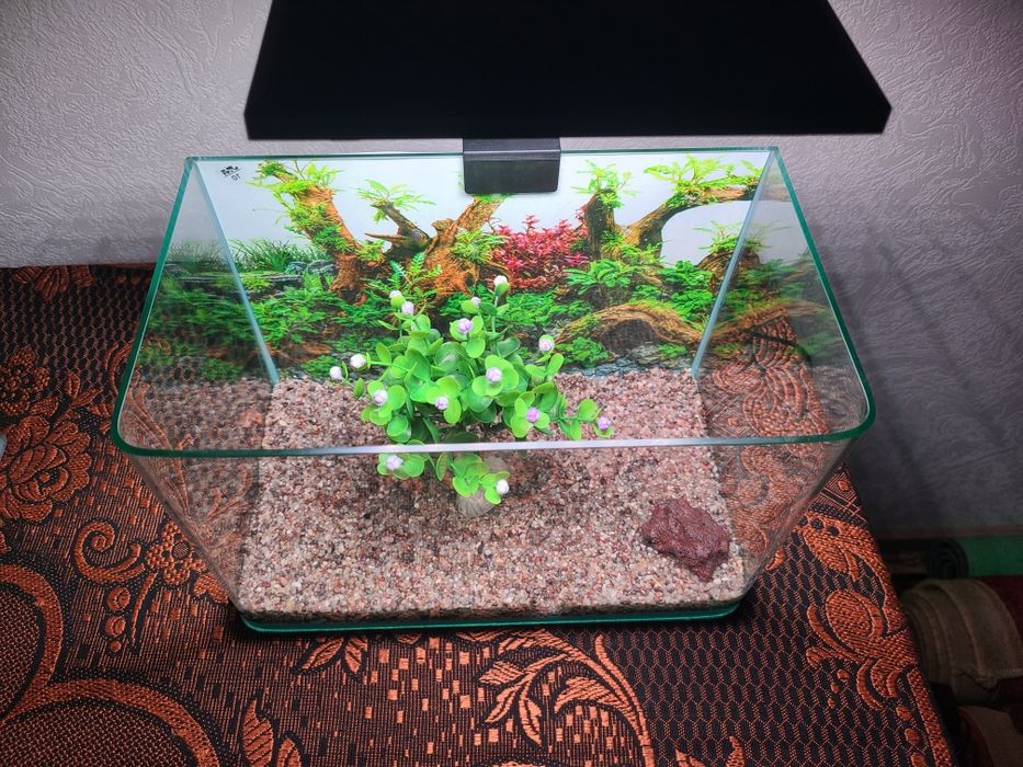 Asssalomalekum akvaryum sotiladi yengi