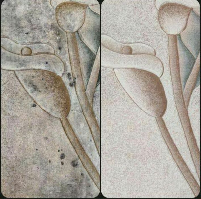 Yumshoq mebel va gilamlarni turgan joyida yuvish hizmatii