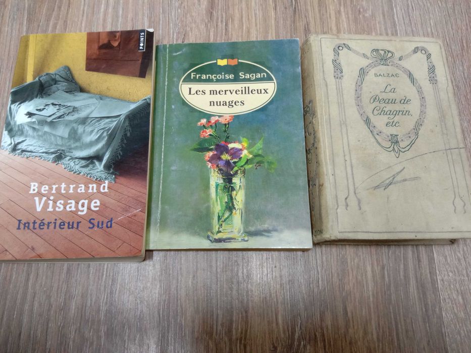 Французский язык