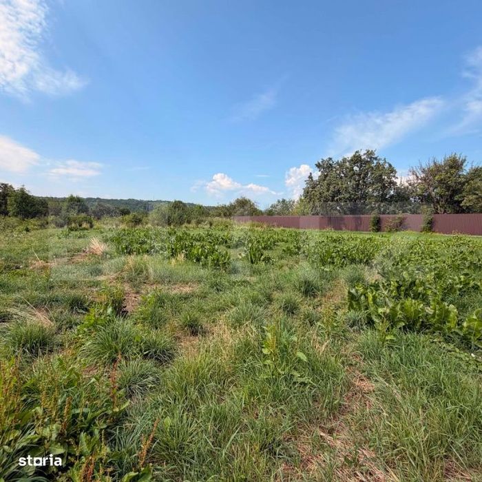 Teren intravilan in Bogdanesti, 3600 mp, zona Profi