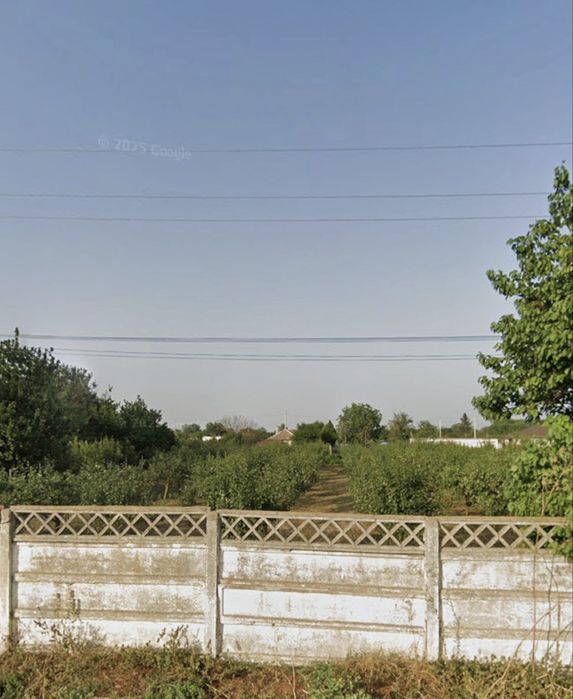 Teren intravilan 1.430 mp cu livadă de pruni pe rod – Topraisar