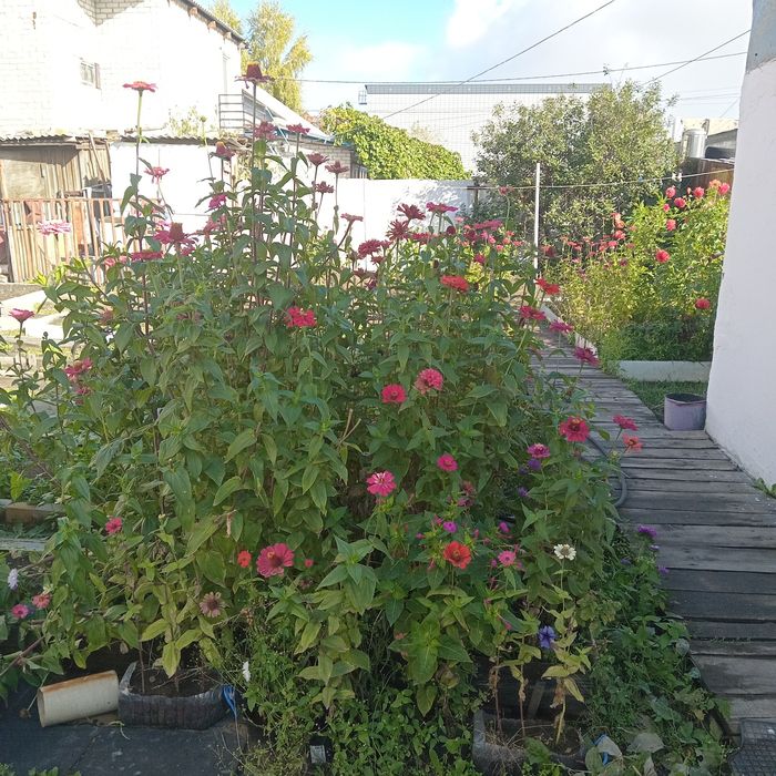 Продам дом в районе Мдс.