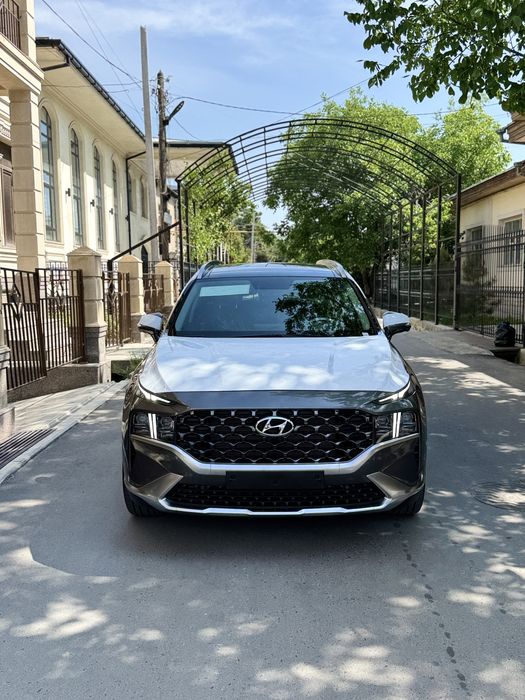 Other Santa FE 2023 — 2