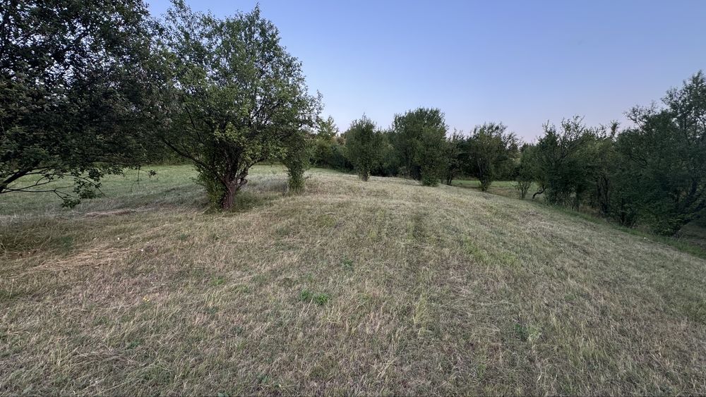 Teren de vanzare extravilan