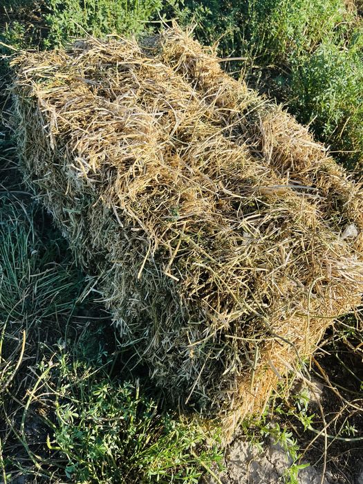 Бірінші орым  жоңышқа прес