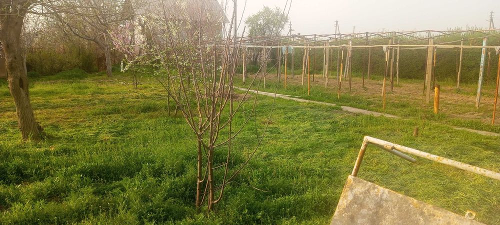 Дача сотилади 6 сотих  уй билан 4 х хона,гараж .