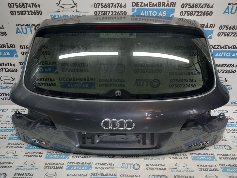 Haion Audi Q7 4L 2007