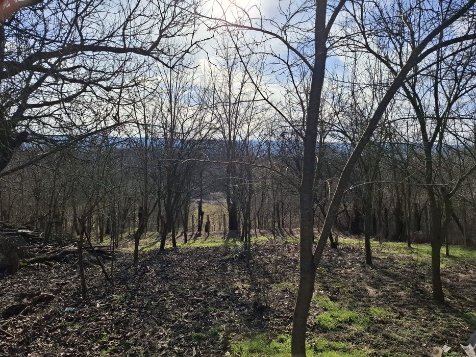 Teren de vânzare – Podenii Noi, sat Sfăcăru | 3.478 mp | 15 €/mp