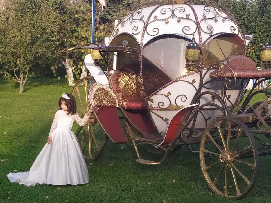 аниматоры, праздник под ключ